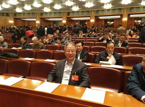 12--2017年3月，许进出席第十二届全国政协第五次大会