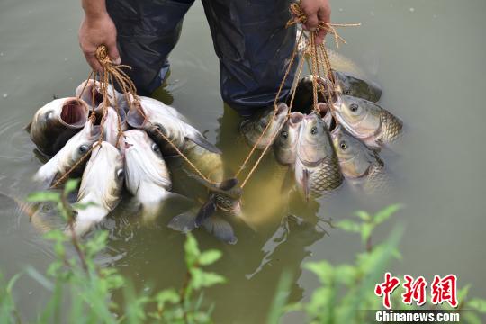 点击进入下一页