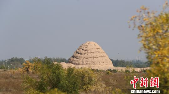 西夏陵遗址。　于晶 摄