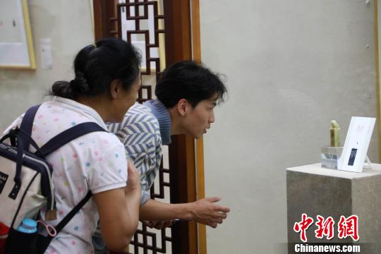 2019亚洲篆刻艺术名家作品邀请展在成都开展