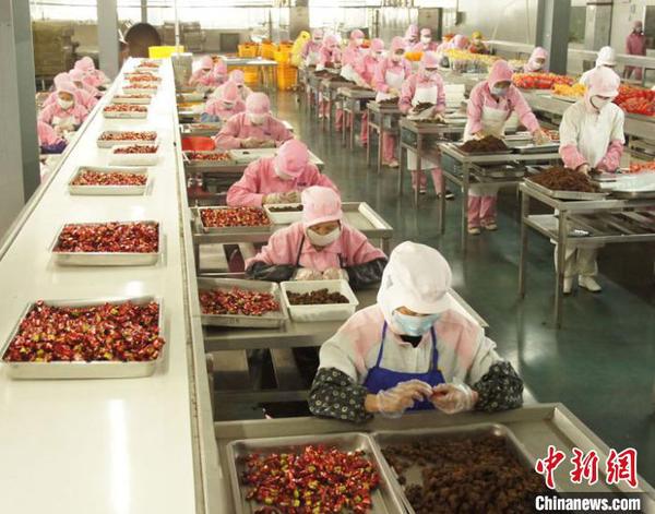 图为企业工人进行牦牛肉加工。　钟欣 摄