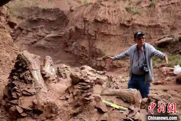 甘肃省临夏回族自治州永靖县官方在“黄河化石论坛”上披露称，近期在该县关山乡红楼村发现了巨龙形类蜥脚类和新鸟臀类恐龙化石。　侯奇志 摄