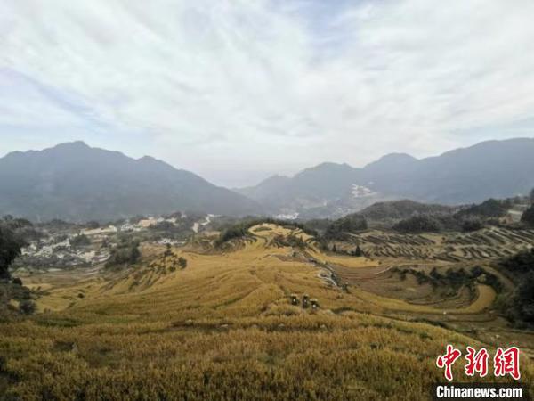 “浙西南小城”新观察：开放包容打造国际摄影名城