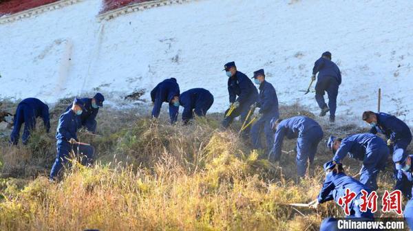 通讯：西藏布达拉宫、大昭寺防火记