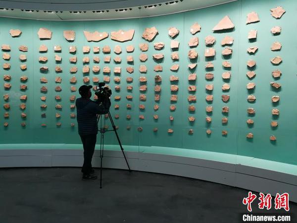 图为澄江化石地自然博物馆的化石墙。　胡远航 摄