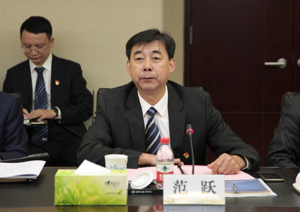 区政协委员、英大财险董事长范跃发言
