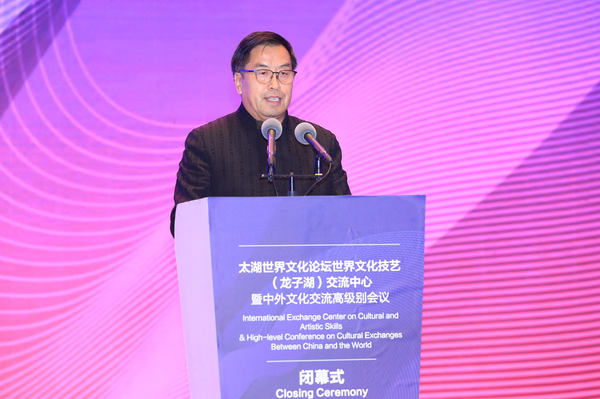 全国政协委员、故宫博物院原常务副院长王亚民发言