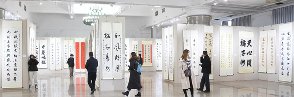 图片8