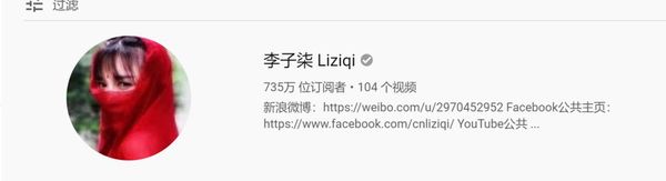 ▲截至2019年12月5日，李子柒在Youtube上的粉丝数是735万。