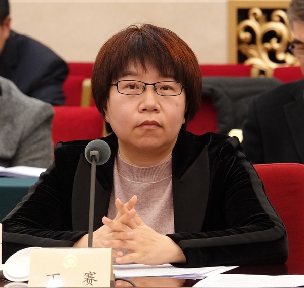 丁赛