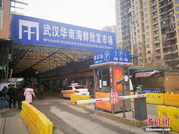 病例临床表现主要为发热，少数病人呼吸困难，胸片呈双肺浸润性病灶。中新社记者 张畅 摄