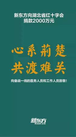 行动五-全国政协委员、民盟中央常委、民盟海淀区委盟员俞敏洪所在企业新东方教育集团向湖北省红十字会捐款2000万元。