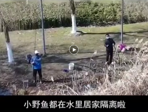 小野鱼
