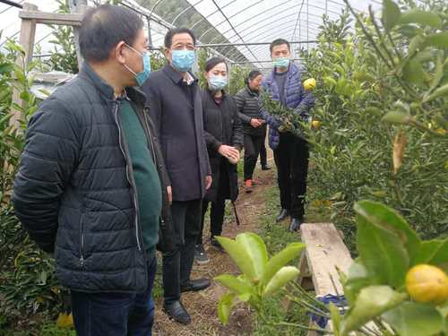 上虞区政协2