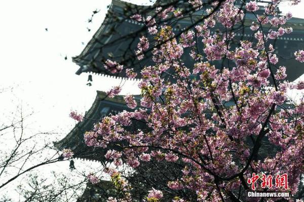点击进入下一页