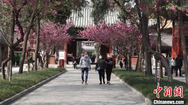 陕西博物馆“线上云游”对接“实地看展”民众“花式刷馆”