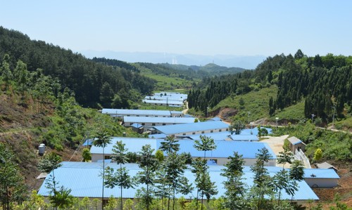 温氏精准扶贫养殖基地