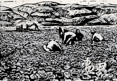 菜-园（套色版画）1943年-古-元