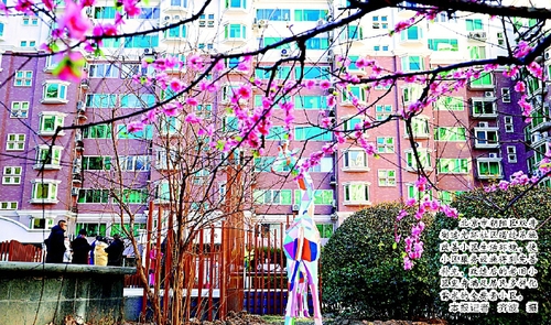 北京市朝阳区双井街道光环社区通过系统改善小区生活环境，使小区服务设施得到完善补充，改造后的老旧小区变身满足居民多样化需求的全要素小区。    本报记者  齐波  摄