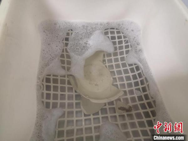 正在使用超声波清洗的瓷器。　童笑雨 摄