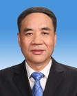 辜胜阻简历