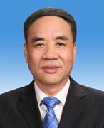 辜胜阻简历