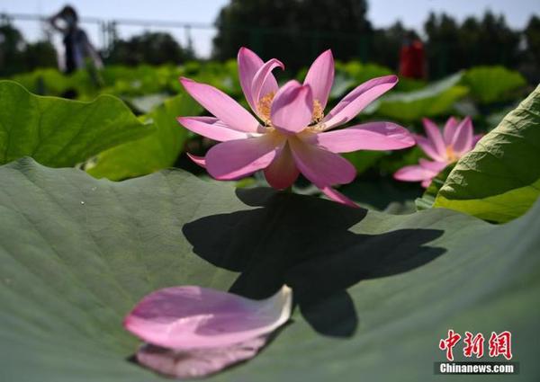 点击进入下一页