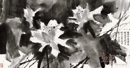 荷 花 45.5×86cm  黄永玉