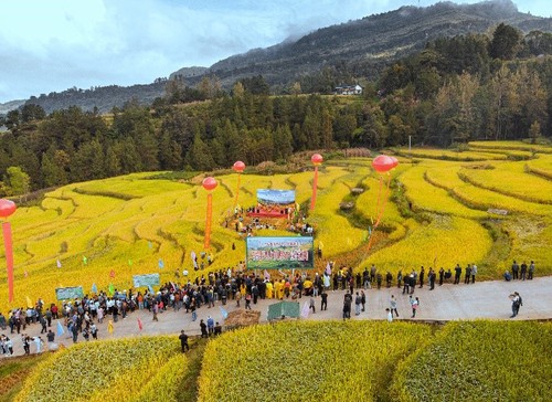 包头市固阳县银号镇东元永村集体经济林综合项目规划图