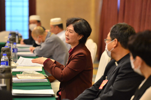 迟英杰委员发言