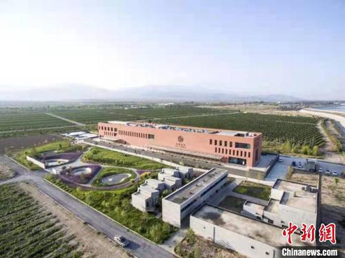 长和翡翠葡萄酒庄。　受访者供图 摄