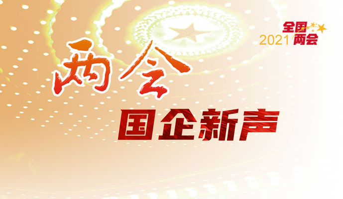 两会国企新声第四辑：《推动能源结构调整 打造技能人才队伍》