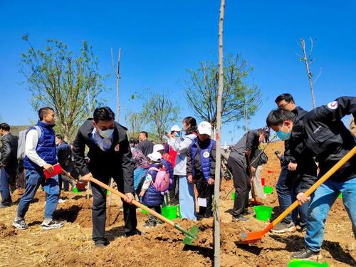 太行山革命老区山西省陵川县植树现场
