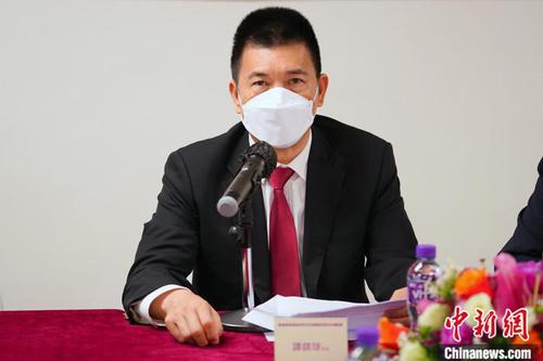 图为全国政协常委、香港中华文化总会荣誉会长谭锦球发言。 中新社记者 张炜 摄