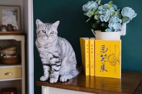 见笑集