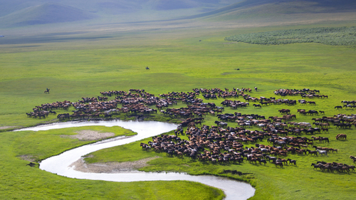 GetAttachment GetAttachment