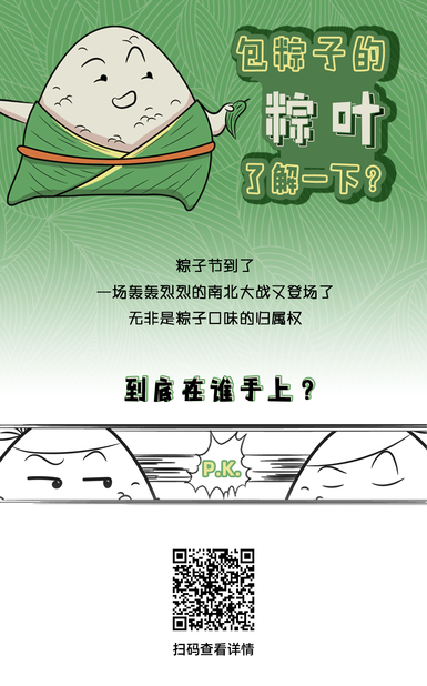 60s懂点啥| 包粽子的粽叶，了解一下？