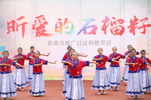 图片12