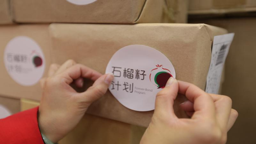 图片30