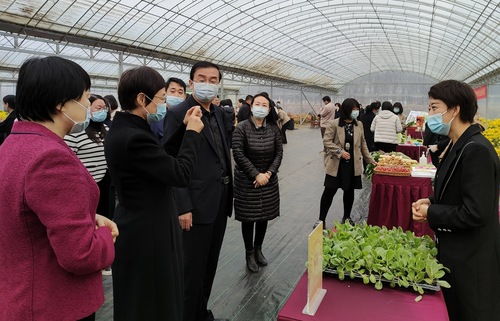 （津站，图片新闻）天津市武清区政协田间地(1481901)-20221111110247
