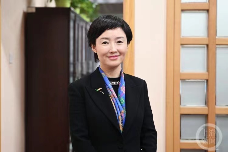 全国政协委员高琳:建议完善全国重点文物保护工程管理机制——人民政协网