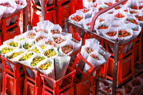 微信图片_20240814092450