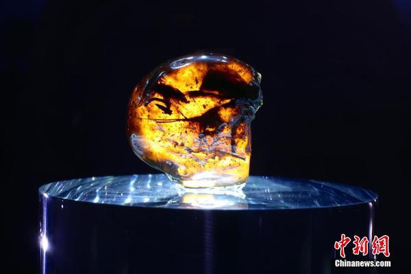 16514fca8a0a4a8f97508116176550dc