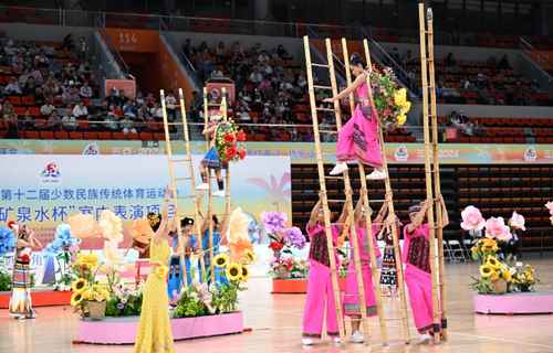 微信截图_20241129085404