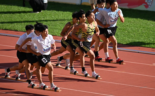 微信截图_20241202090316