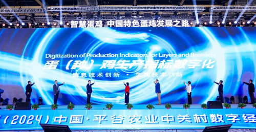 微信截图_20241209090604