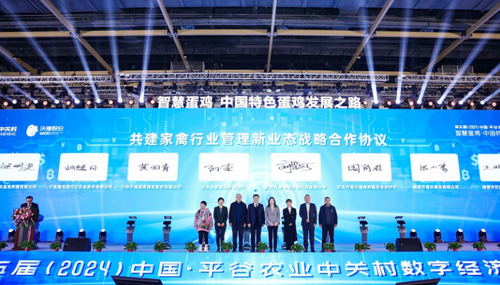 微信截图_20241209090619