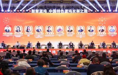 微信截图_20241209093457