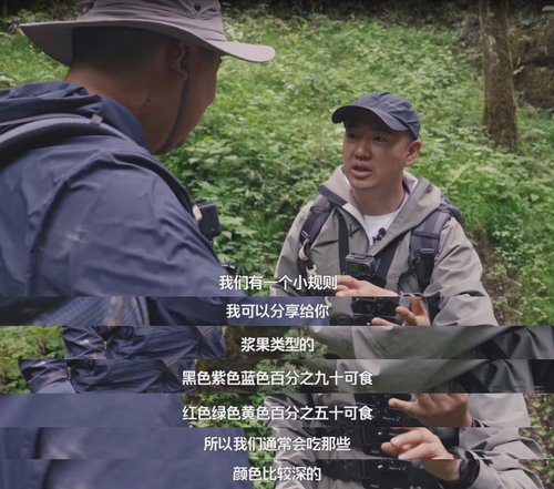 图片7