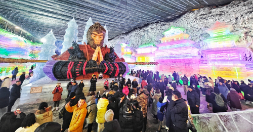 微信截图_20250113090204